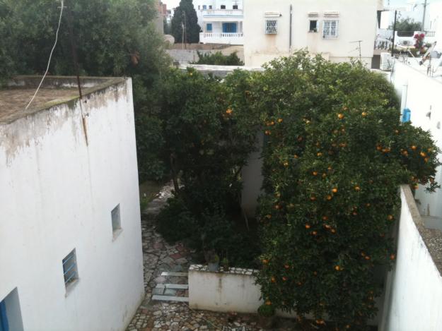 images_immo/tunis_immobilier111012mba1.jpg