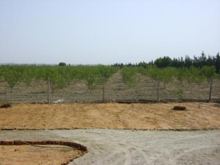 images_immo/tunis_immobilier11102812.jpg