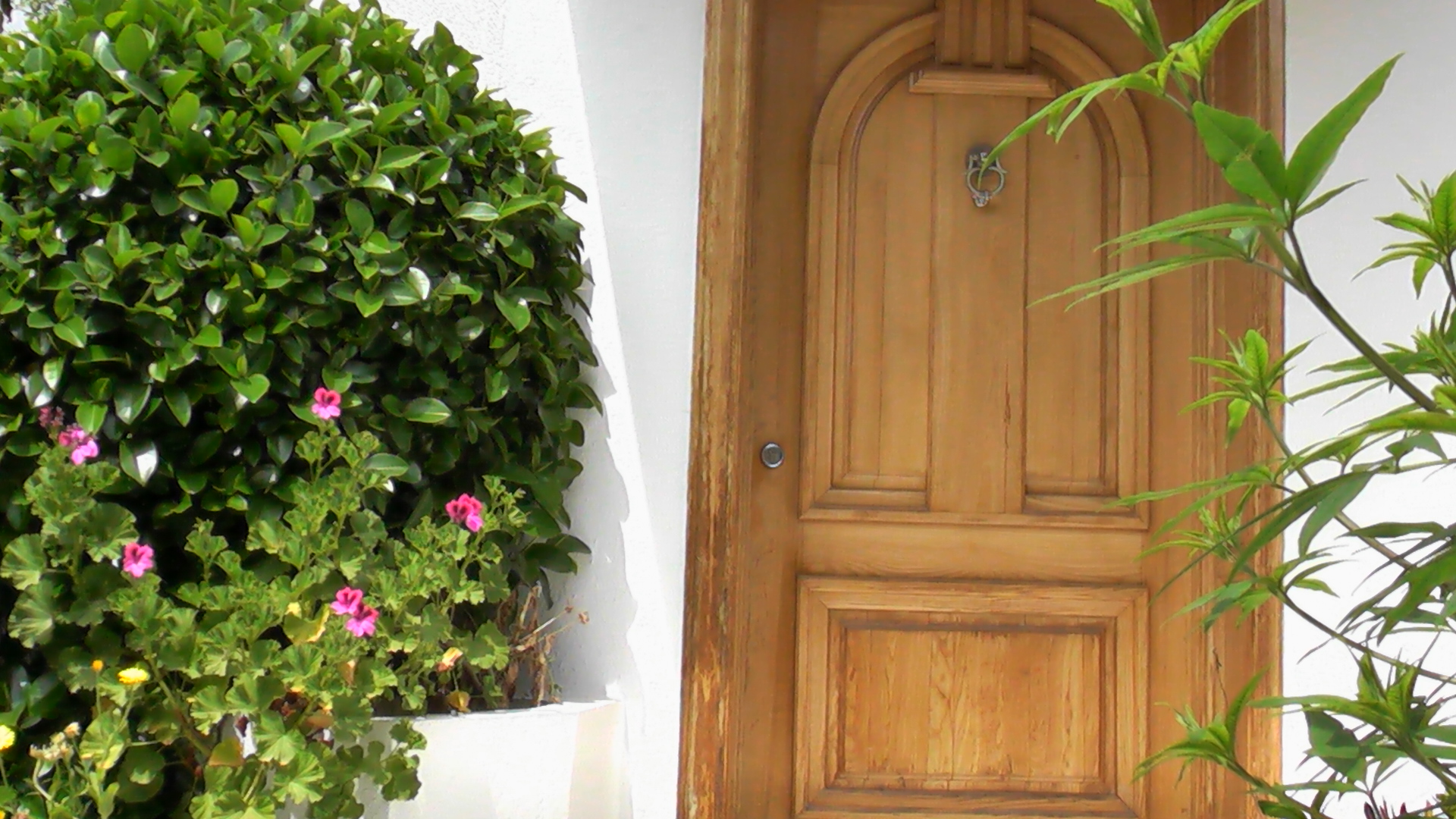 images_immo/tunis_immobilier120508IMGA0043.JPG
