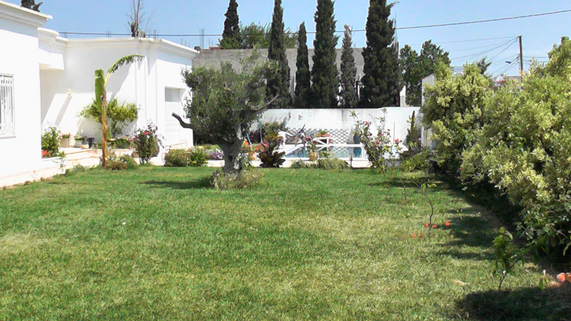 Ariana Tunisie vente achat location appartement terrain maison villa Tunis