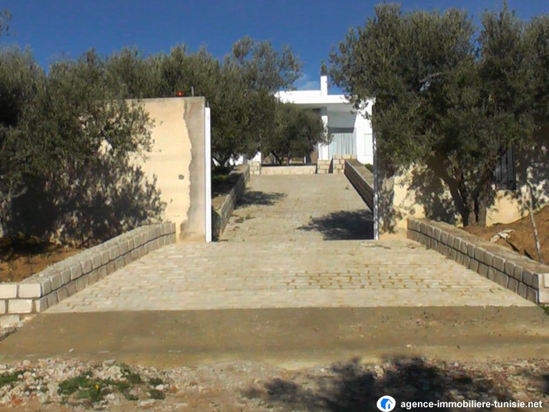 images_immo/tunis_immobilier140101raouf3.JPG