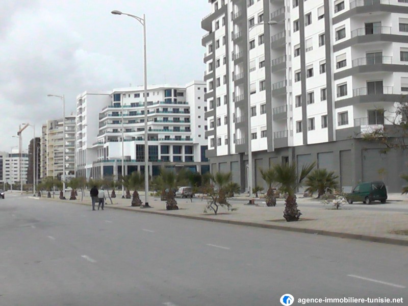 images_immo/tunis_immobilier140222kamel15.JPG