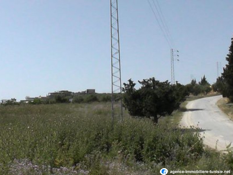 images_immo/tunis_immobilier19121306914a7a-569c-4e99-bb6b-19c1926e4949.jpg